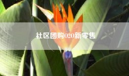 社区团购O2O新零售
