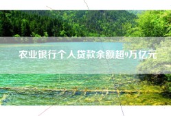 农业银行个人贷款余额超9万亿元