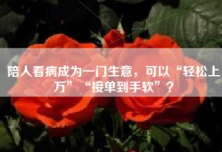 陪人看病成为一门生意，可以“轻松上万”“接单到手软”？