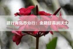 建行青岛市分行：金融甘霖润沃土