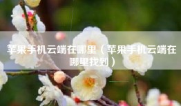 苹果手机云端在哪里（苹果手机云端在哪里找到）