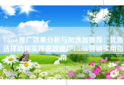 Tiktok推广效果分析与加速器推荐：优质选择助你实现高效推广Tiktok营销实用指南