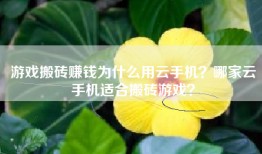 游戏搬砖赚钱为什么用云手机？哪家云手机适合搬砖游戏？