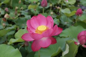 冬至节简报