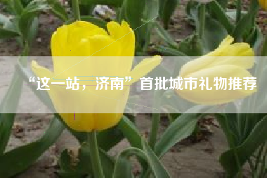 “这一站，济南”首批城市礼物推荐