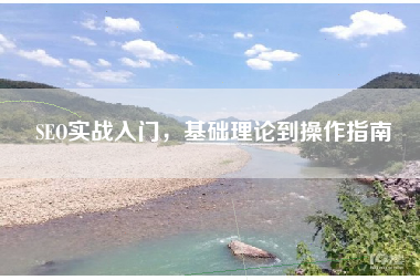 SEO实战入门，基础理论到操作指南