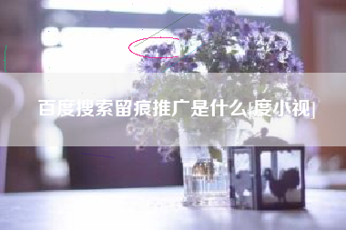 百度搜索留痕推广是什么[度小视]