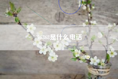 96368是什么电话