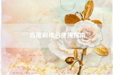 百度刷排名使用指南