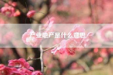 产业地产是什么意思