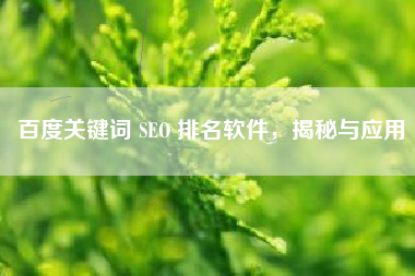 百度关键词 SEO 排名软件，揭秘与应用