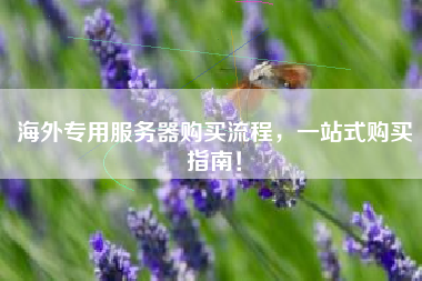 海外专用服务器购买流程，一站式购买指南！