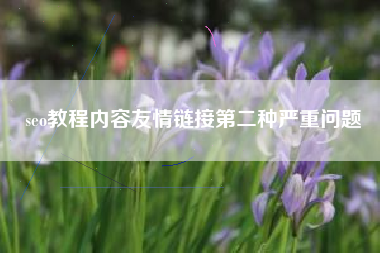 seo教程内容友情链接第二种严重问题
