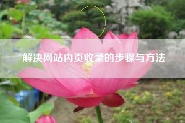解决网站内页收录的步骤与方法