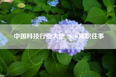 中国科技行业大佬 2019 离职往事