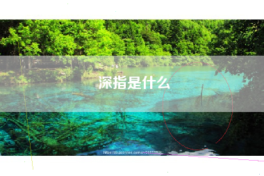 深指是什么
