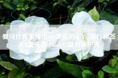 爱马仕独家推出699美元的AirTag旅行标签 570美元的iPhone12磁力保护壳