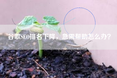 谷歌SEO排名下降，急需帮助怎么办？
