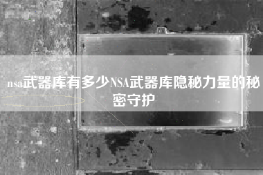 nsa武器库有多少NSA武器库隐秘力量的秘密守护