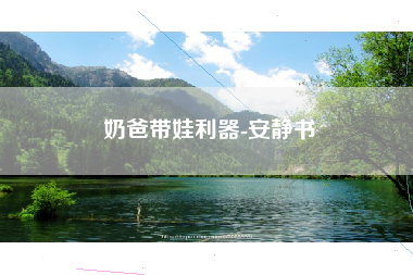 奶爸带娃利器-安静书