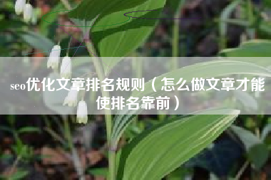 seo优化文章排名规则（怎么做文章才能使排名靠前）