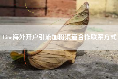 Line海外开户引流加粉渠道合作联系方式