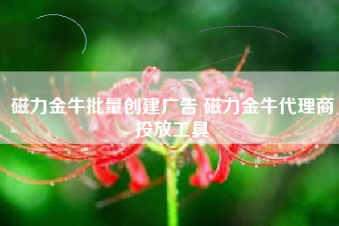 磁力金牛批量创建广告 磁力金牛代理商投放工具