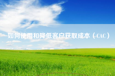 如何使用和降低客户获取成本（CAC）
