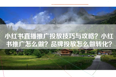 小红书直播推广投放技巧与攻略？小红书推广怎么做？品牌投放怎么做转化？