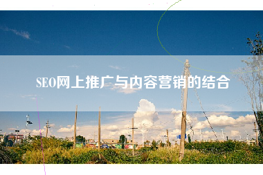 SEO网上推广与内容营销的结合