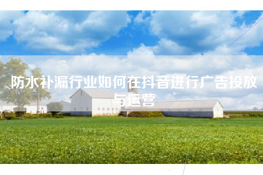 防水补漏行业如何在抖音进行广告投放与运营