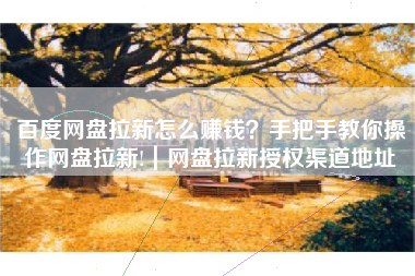 百度网盘拉新怎么赚钱？手把手教你操作网盘拉新!｜网盘拉新授权渠道地址