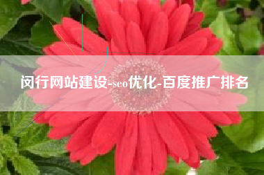 闵行网站建设-seo优化-百度推广排名