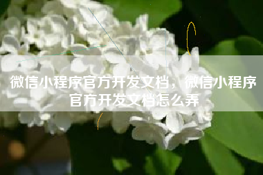 微信小程序官方开发文档，微信小程序官方开发文档怎么弄