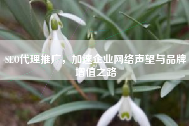 SEO代理推广，加速企业网络声望与品牌增值之路