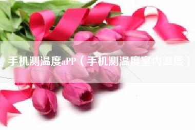 手机测温度aPP（手机测温度室内温度）