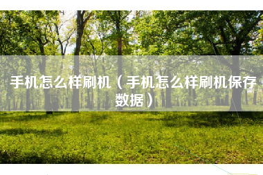 手机怎么样刷机（手机怎么样刷机保存数据）