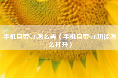 手机自带wifi怎么弄（手机自带wifi功能怎么打开）