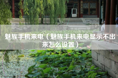 魅族手机来电（魅族手机来电显示不出来怎么设置）