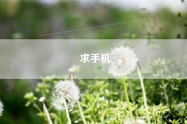 求手机