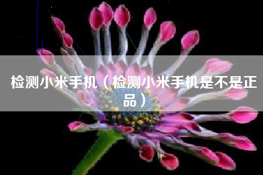 检测小米手机（检测小米手机是不是正品）