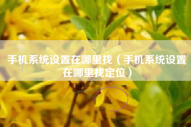 手机系统设置在哪里找（手机系统设置在哪里找定位）