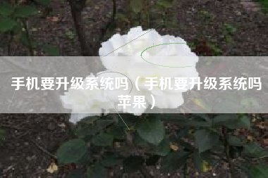 手机要升级系统吗（手机要升级系统吗苹果）