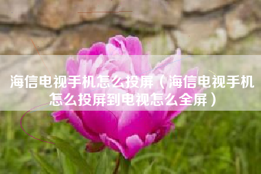 海信电视手机怎么投屏（海信电视手机怎么投屏到电视怎么全屏）