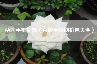 杂牌手机刷机（杂牌手机刷机包大全）