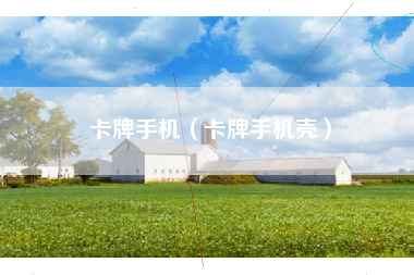 卡牌手机（卡牌手机壳）
