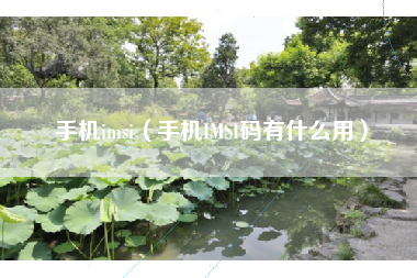 手机imsi（手机IMSI码有什么用）