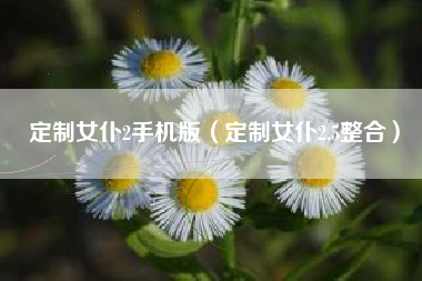 定制女仆2手机版（定制女仆2.5整合）