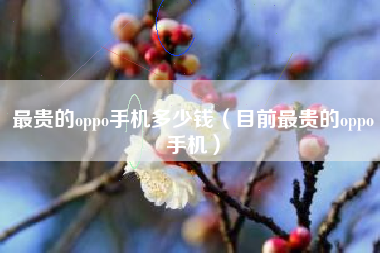 最贵的oppo手机多少钱（目前最贵的oppo手机）