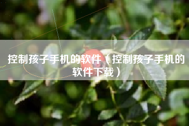 控制孩子手机的软件（控制孩子手机的软件下载）